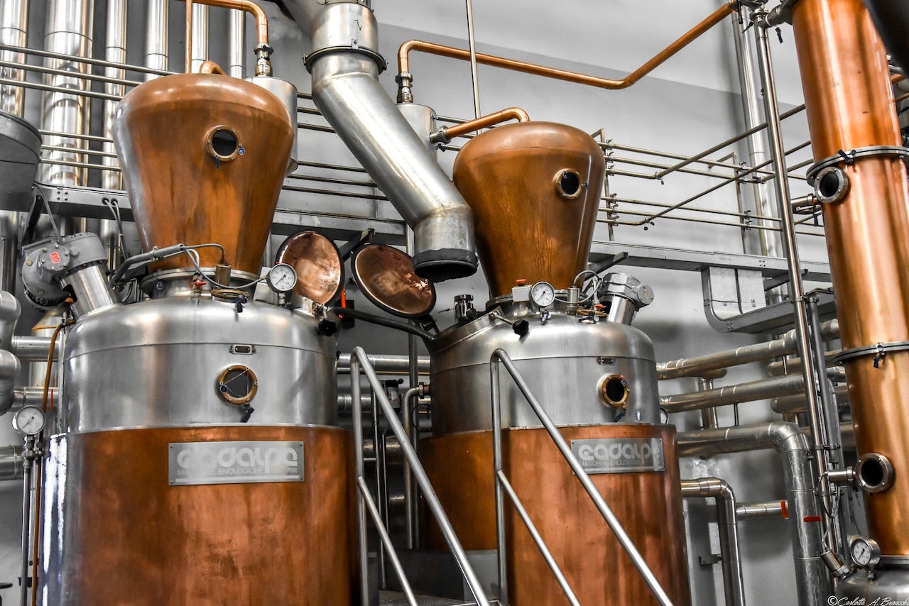 Alambicchi per la distillazione con metodo discontinuo, Distilleria Bertagnolli