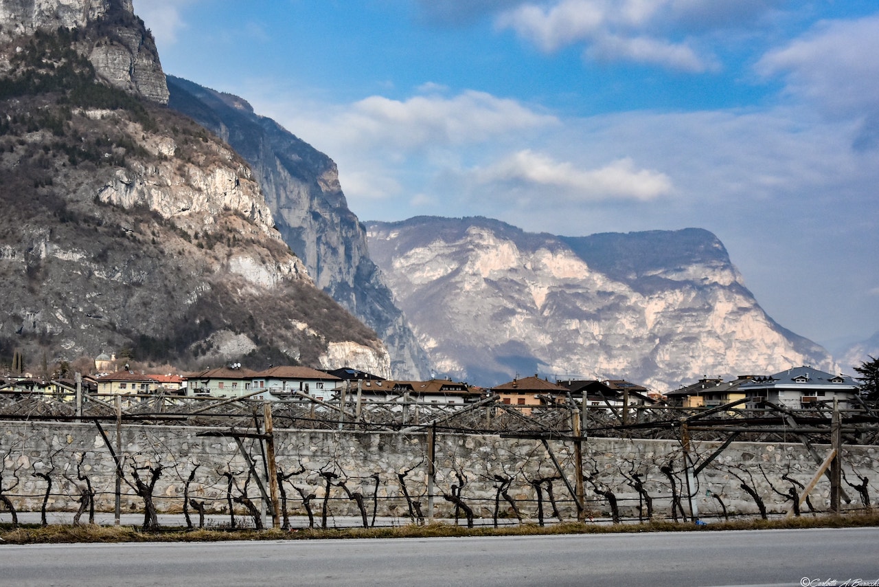 La via del Teroldego a Mezzocorona, Trentino