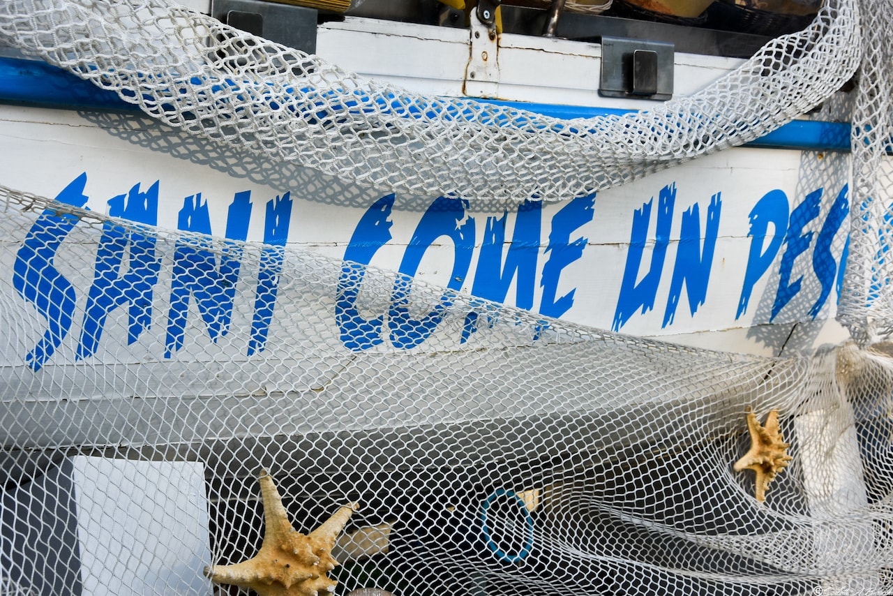 'Sani come un pesce', cartocci di pesce fritto freschissimo direttamente da San Benedetto del Tronto