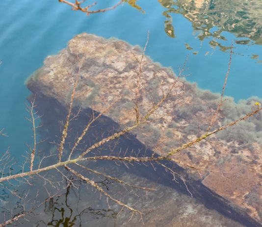 Antichi basamenti affiorano dalle cristalline acque del Nera nei pressi di Stifone