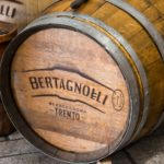 Barrique per l'invecchiamento della grappa, Distilleria Bertagnolli