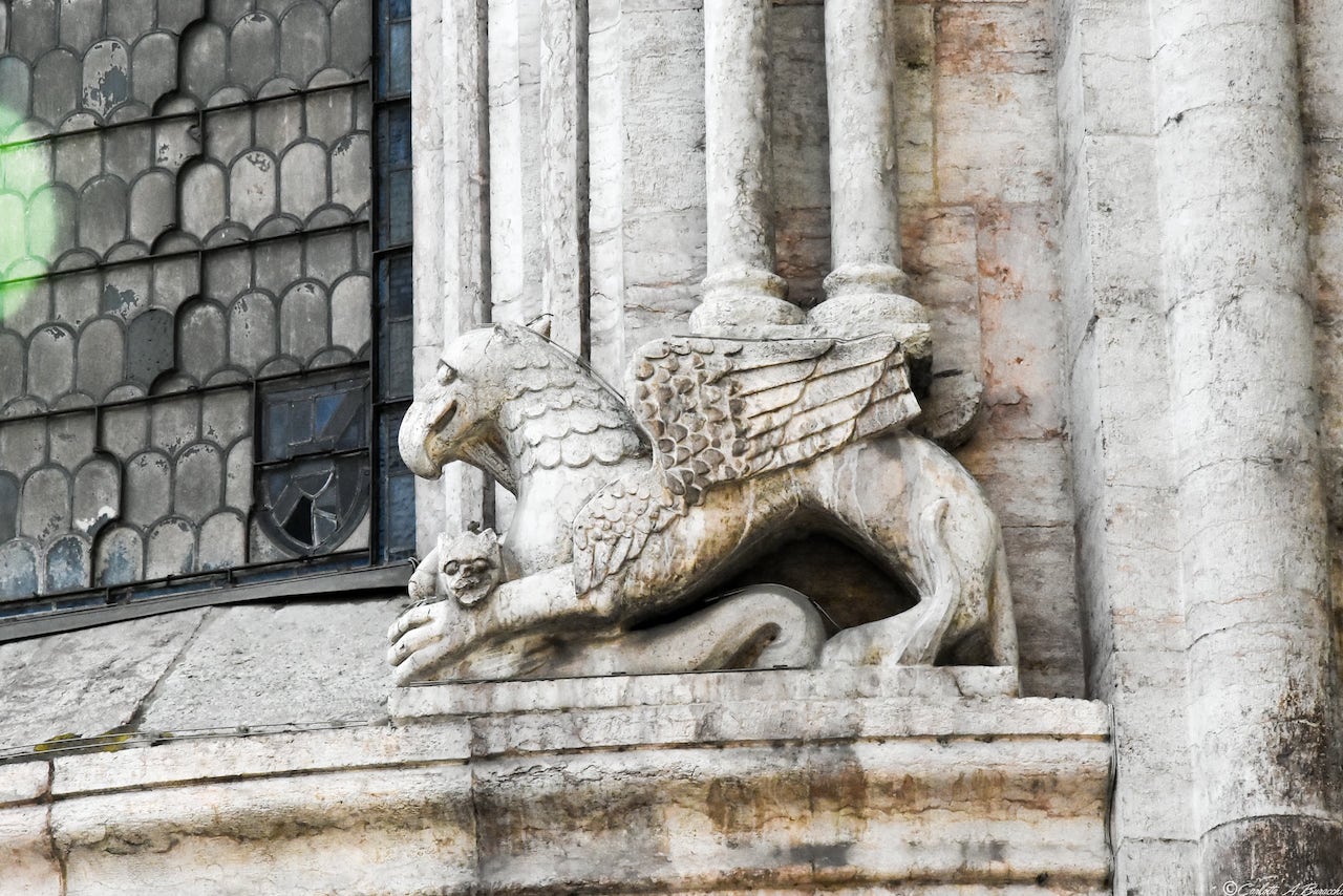 Grifone Duomo San Vigilio Trento Mon Cabinet De Curiosites