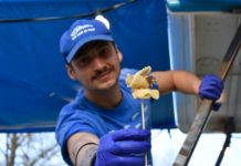 Il pesce fritto di San Benedetto del Tronto in giro per l'Italia sulla barca di 'Sani come un pesce'