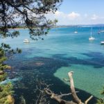 Presq’île de Giens, sentiero verso plage Lou Plantié.jpg