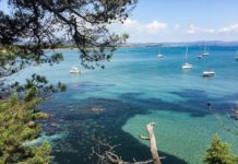 Il sentiero immerso nella vegetazione verso la Plage Lou Plantié