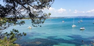 Il sentiero immerso nella vegetazione verso la Plage Lou Plantié