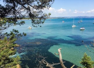 Il sentiero immerso nella vegetazione verso la Plage Lou Plantié