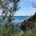 Presq’île de Giens, vegetazione litorale