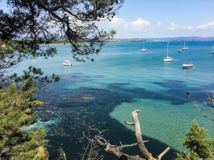 Il sentiero immerso nella vegetazione verso la Plage Lou Plantié