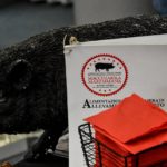 Associazione allevatori Macchiaiola Maremmana