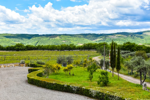 Panorama dalla terrazza della sala degustazione dell'azienda Rocca di Montegrossi