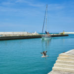 Le acque turchine del canale nel porto di Pesaro